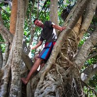 Ephraim Kupferschmid的照片