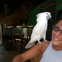 carlotta farina的照片