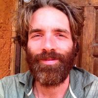 WOUTER VERWER Verwer的照片