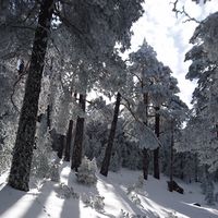 Gema  Perales trompeta的照片