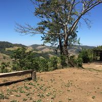 Claire Medina's Photo