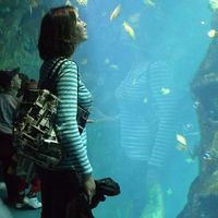 Marion Sibers's Photo