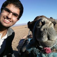 Zan Siddiqui的照片