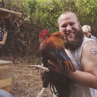 Matej Majstorović-Golubović的照片