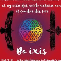 Besouro Torres's Photo