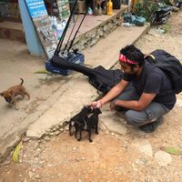 Photos de Sabyasachi Ghosh