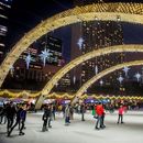 🎉Ice Skating Party⛸️'s picture