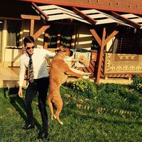 Dávid Soós的照片