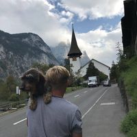 Willem Schellemans的照片