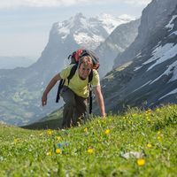 Nic Limper's Photo