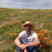 marcus farage's Photo