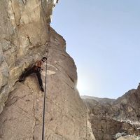 Nagwan Ghobrial的照片