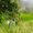 ashkan shahbazi's Photo