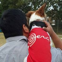 Joel Salinas's Photo