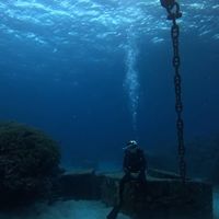 Julien Dufour's Photo