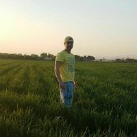 Le foto di Afshin Afsharpour