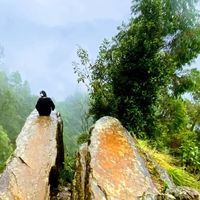 Фотографии пользователя Poojasri Perumal