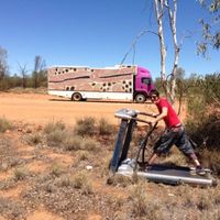 Фотографии пользователя Heather Smith