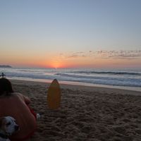 jonathan lyan's Photo