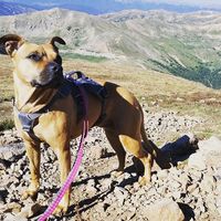 Jessica ONeal的照片