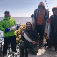 Gilbert Saravia的照片