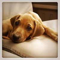 John  Bowden's Photo