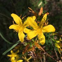 Laëtitia Reisch's Photo