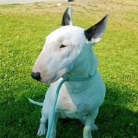 Zeus Başaran的照片