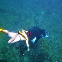 Alessandro Boni's Photo