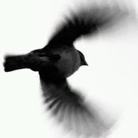 Fotos von Iñaki Basterra