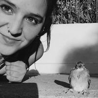 Pau Sommariva's Photo