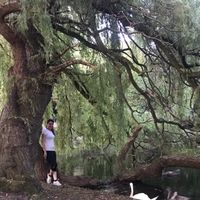 Фотографии пользователя Hajar Gol