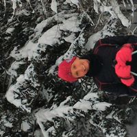 serena dritsas的照片