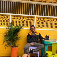 Alexander Franco的照片