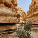 Wadi Degla Hike's picture