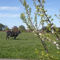 Helen Eskeland的照片