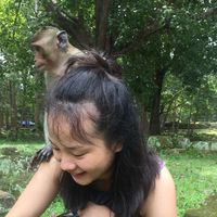 Fotos de XIANGSUI  Lin