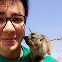 Luc Kerherve's Photo