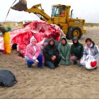 Фотографии пользователя John Tay