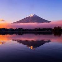 Sreshtha Chowdhury's Photo