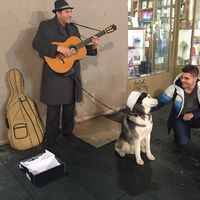 Фотографии пользователя safa aktaş