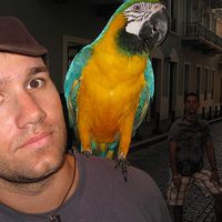 Jared Adams的照片