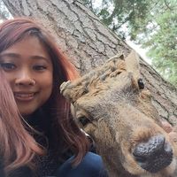 Rachel SQian的照片