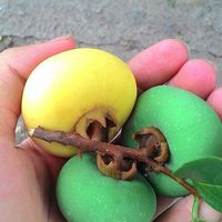 Triệu Chung's Photo