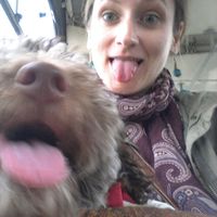 Jelena Dincic的照片