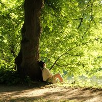 Fotos de Nguyễn Vân