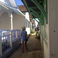 Romane Penin的照片