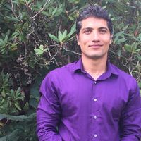 Mojtaba Kaviani的照片