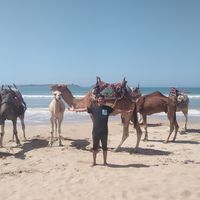 Imad EL Anabi's Photo