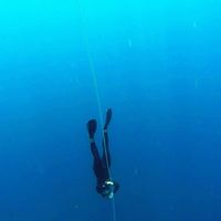 Safira Verelst's Photo